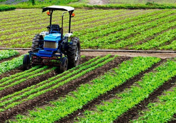 Presentazione delle domande di Disoccupazione Agricola 2023: termine ultimo di presentazione lunedì 2 aprile 2024