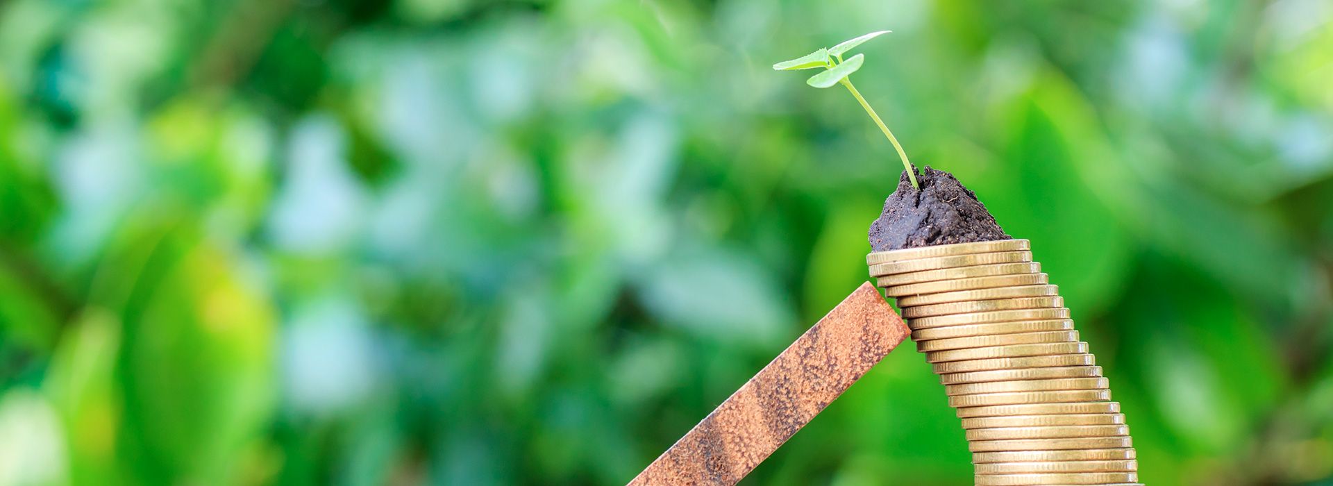 Servizi ai cittadini Sostegno al reddito Patronato ENAPA