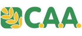 CAA CAA